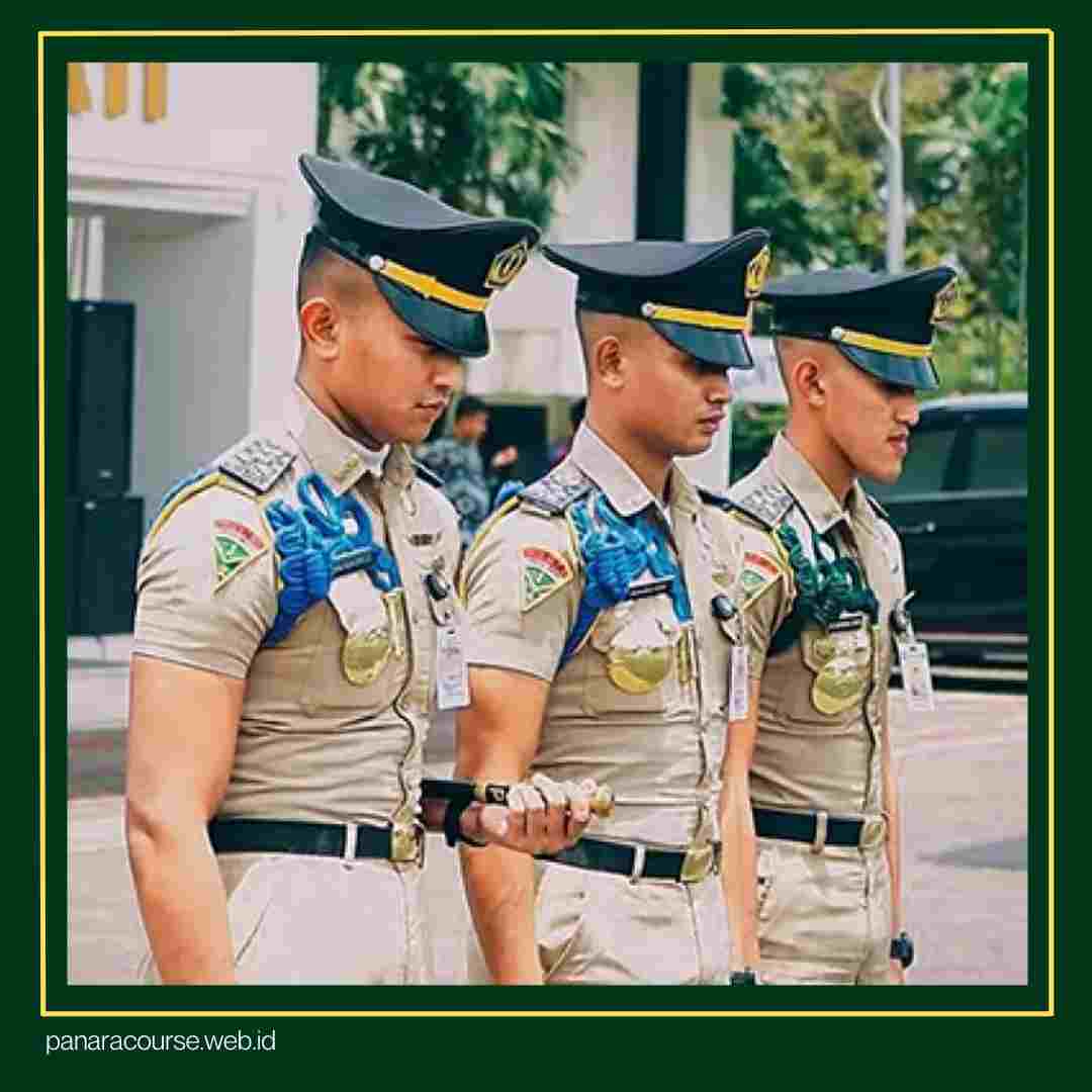 apa itu IPDN