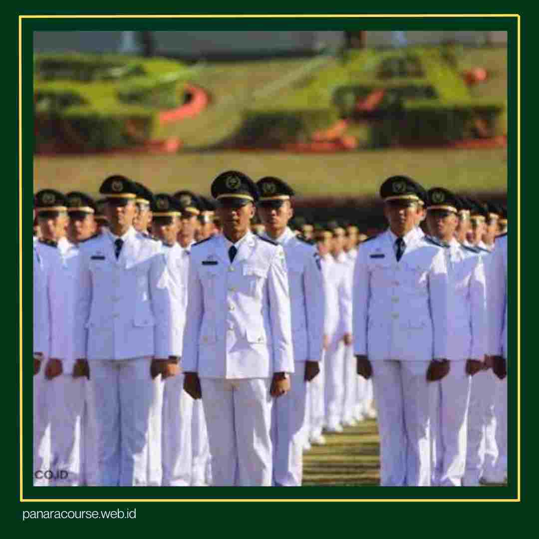 apa itu IPDN