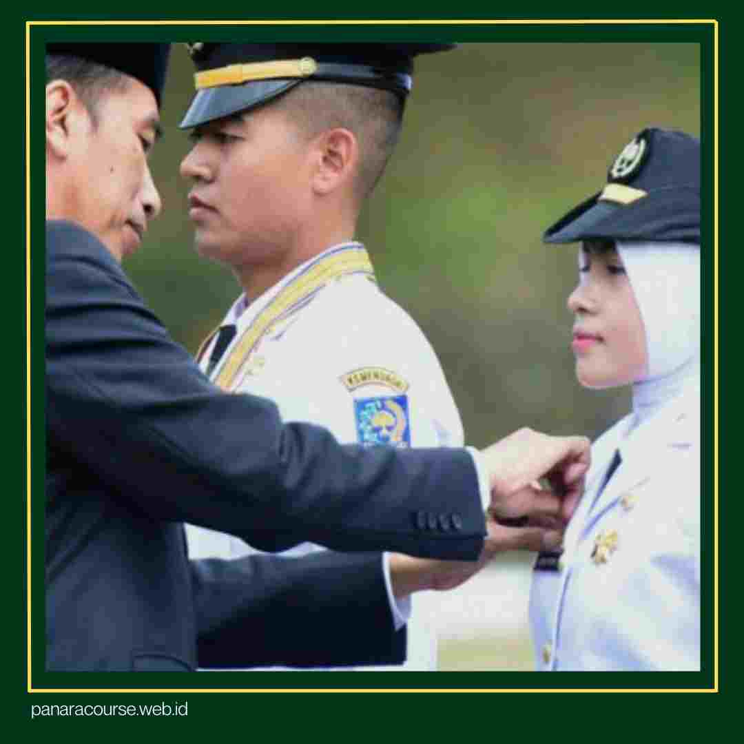 apa itu IPDN