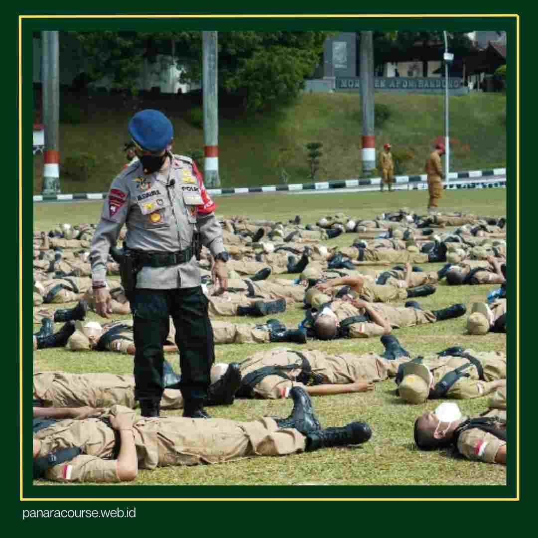 apa itu IPDN