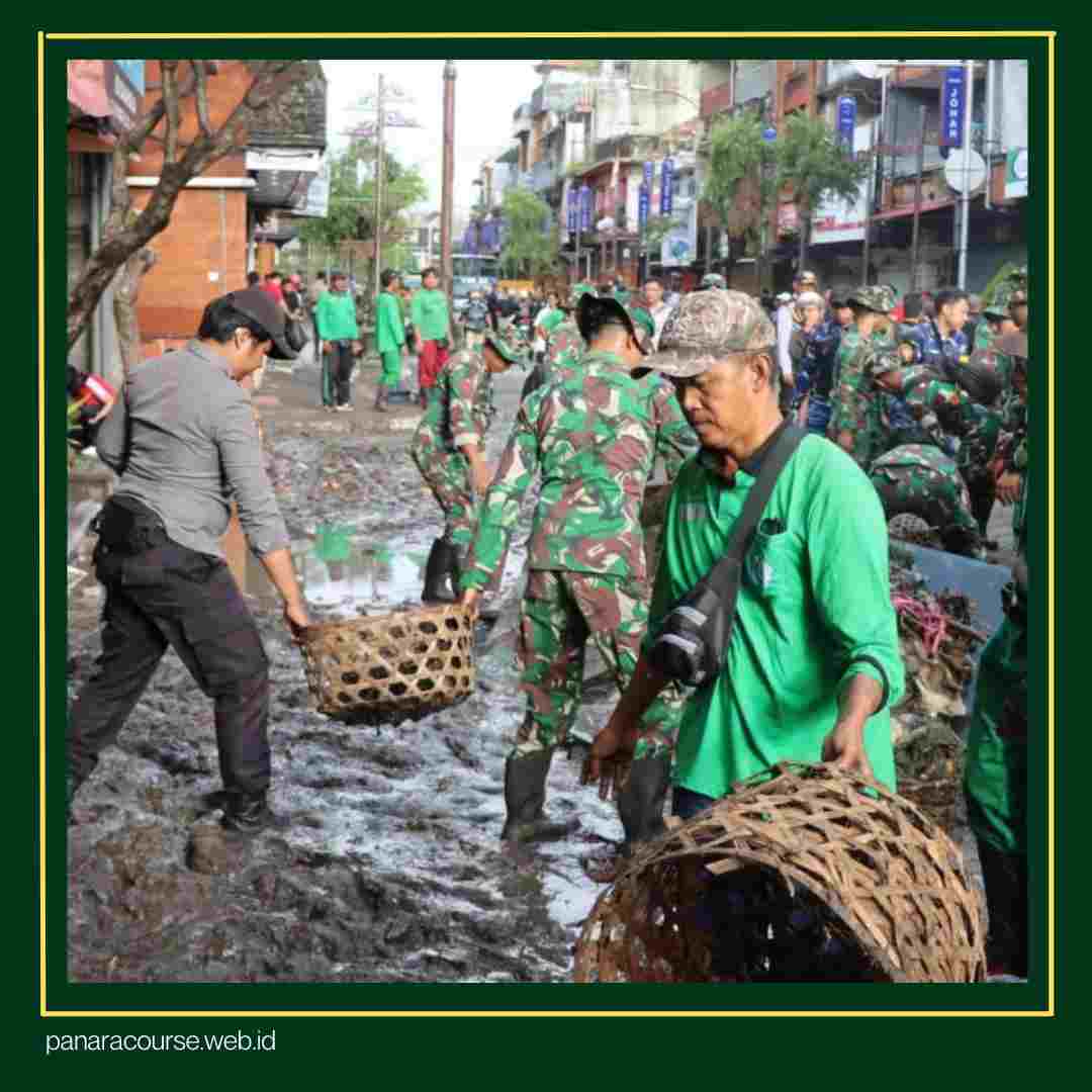 Apa Itu TNI AD